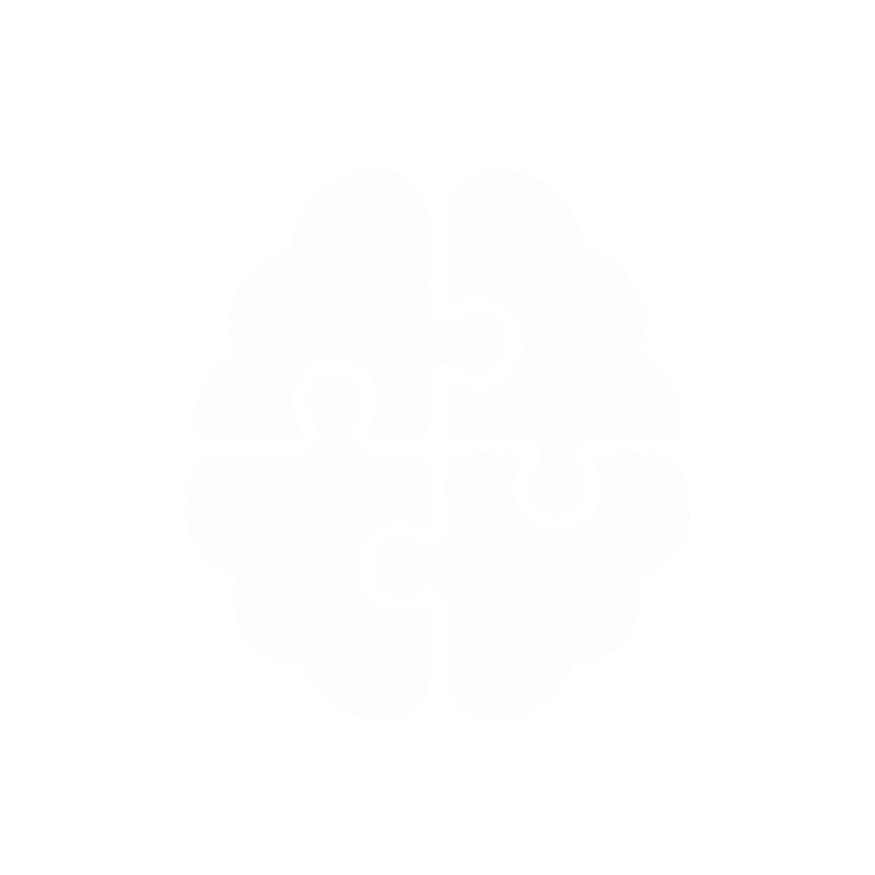 brainfocusplay.com